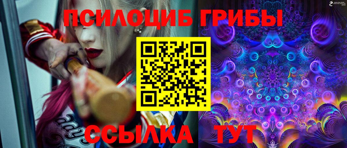 Великие Луки  Галлюциногенные грибы мицелий  Вход с VPN  Псилоцибиновые грибы Cubensis 